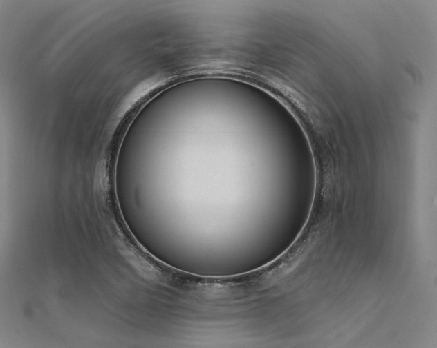 X0000112351458200908131418