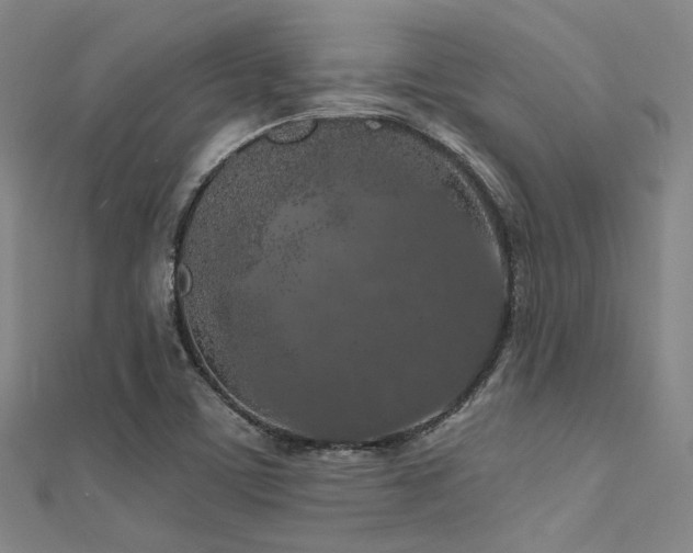 X0000112351459200908131418