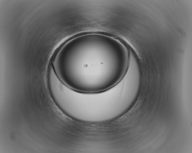 X0000112351460200908131418