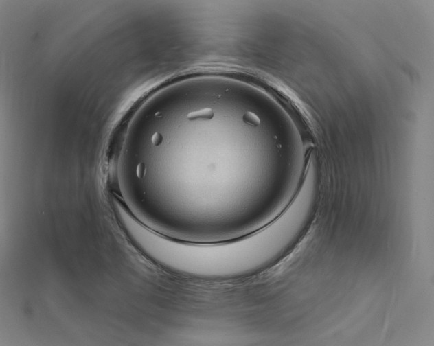 X0000112351461200908131418