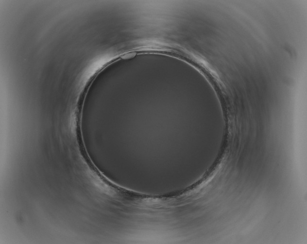 X0000112351463200908131418