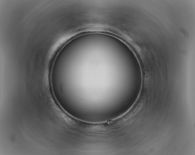 X0000112351464200908131418