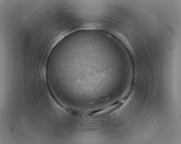 X0000112351465200908131418