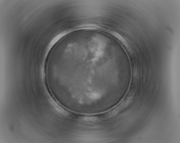 X0000112351466200908131418