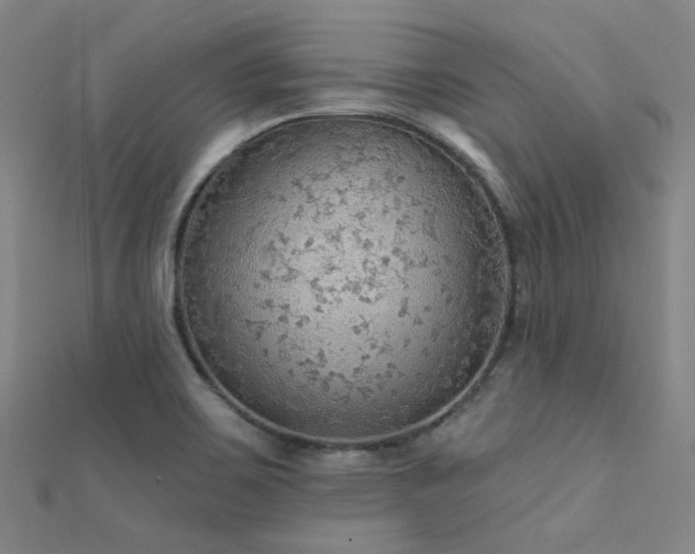 X0000112351467200908131418