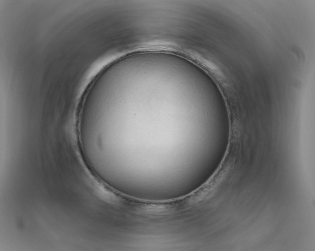 X0000112351470200908131418