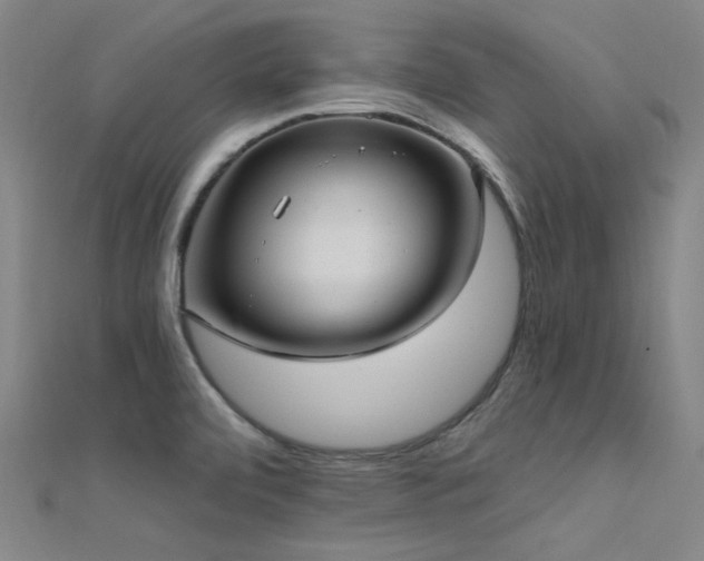 X0000112351472200908131418