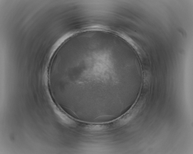 X0000112351474200908131418