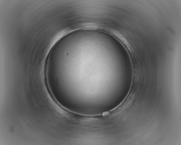 X0000112351475200908131418