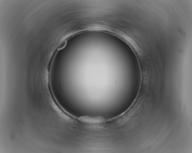 X0000112351476200908131418