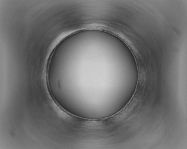 X0000112351478200908131417