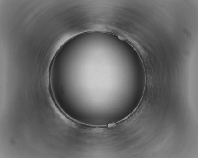 X0000112351479200908131417