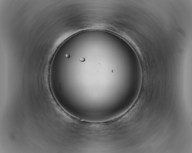 X0000112351480200908131417