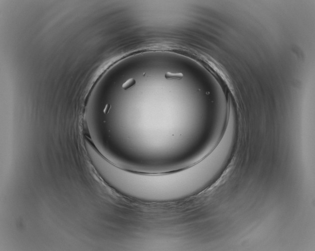 X0000112351481200908131417
