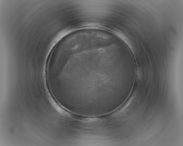 X0000112351482200908131417