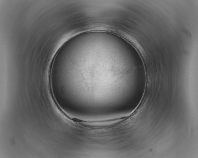 X0000112351483200908131417