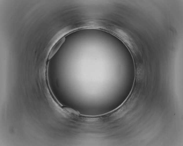 X0000112351484200908131417