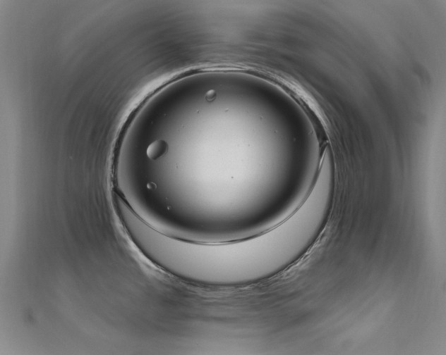 X0000112351485200908131417