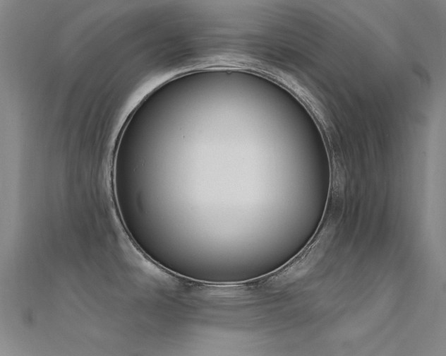 X0000112351486200908131417