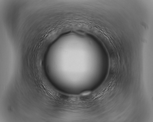 X0000112351489200908131417