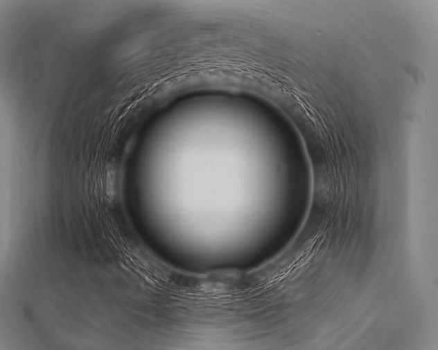 X0000112351490200908131417