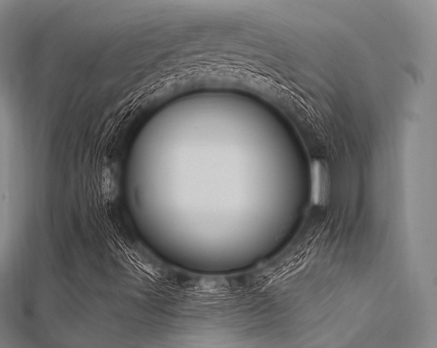 X0000112351491200908131417