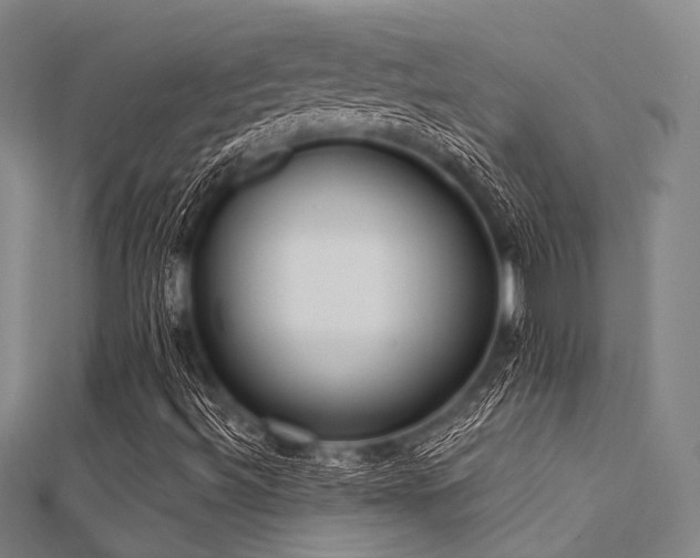 X0000112351492200908131417