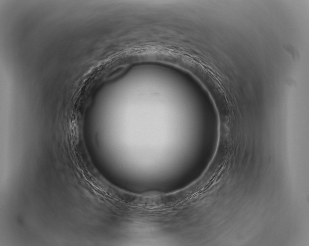 X0000112351493200908131417