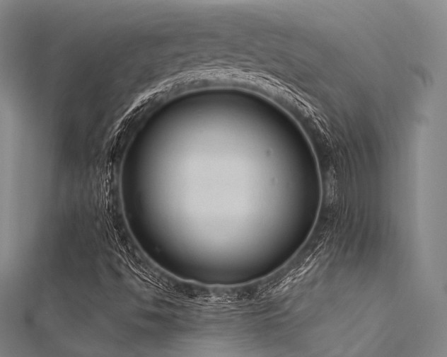X0000112351494200908131417