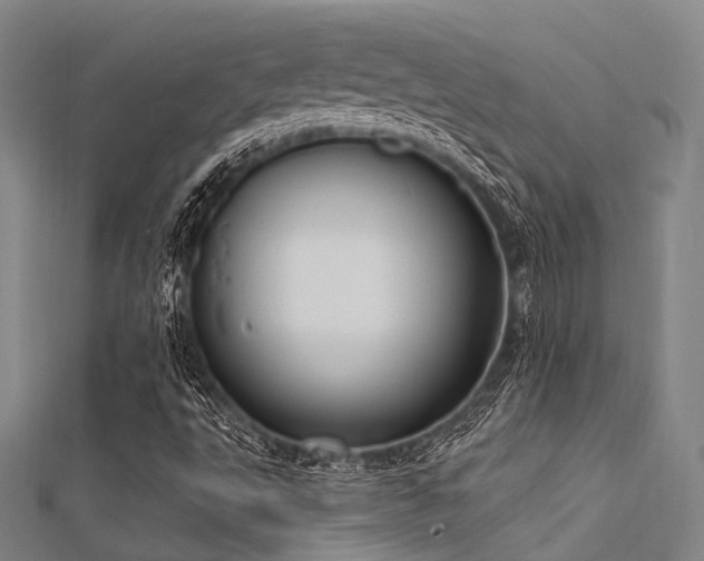X0000112351495200908131417