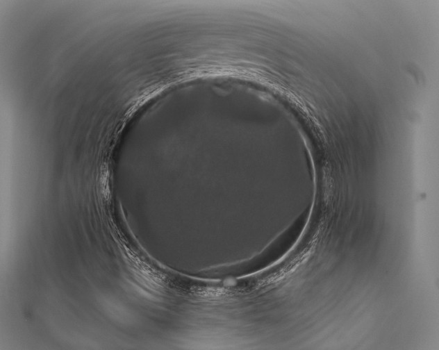 X0000112351497200908131417