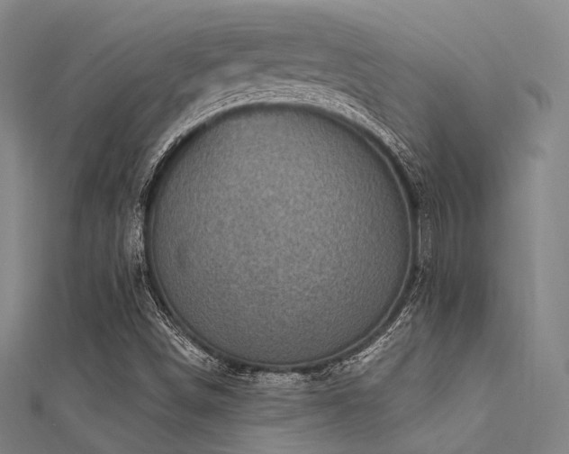 X0000112351498200908131417