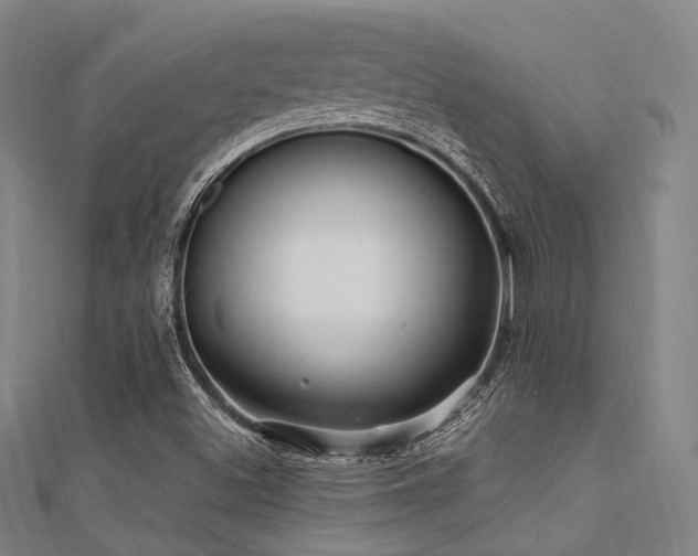 X0000112351500200908131417