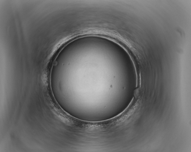 X0000112351501200908131417