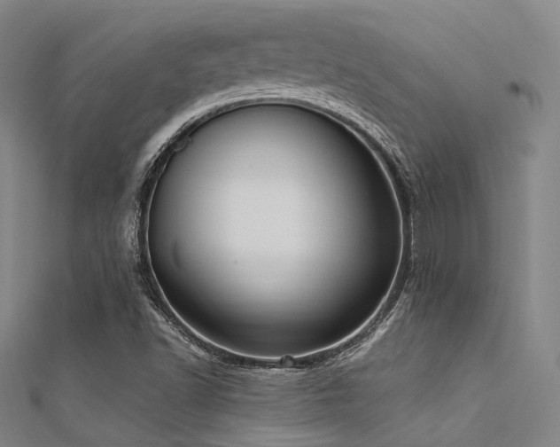 X0000112351502200908131417