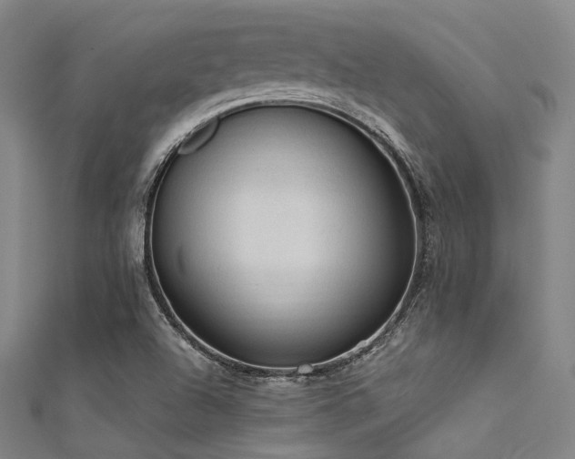 X0000112351504200908131417