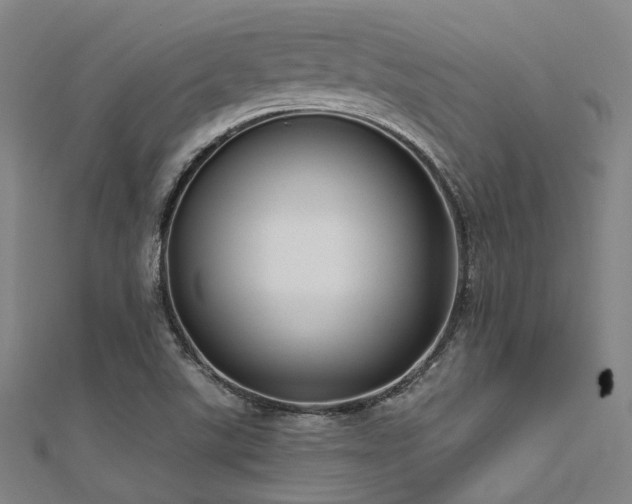 X0000112351507200908131417