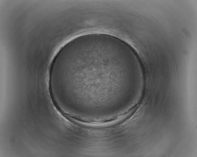 X0000112351508200908131417