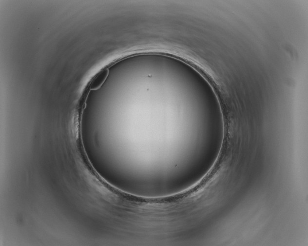 X0000112351510200908131417
