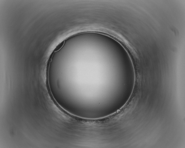 X0000112351512200908131417