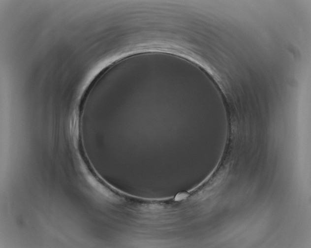 X0000112351515200908131417