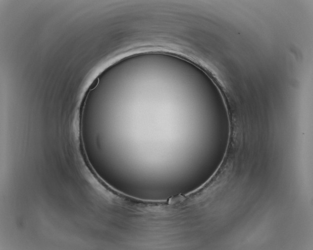 X0000112351516200908131417