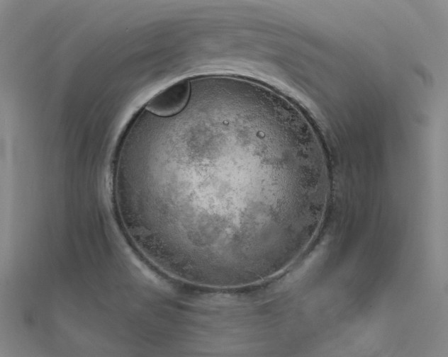 X0000112351517200908131417