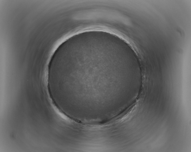 X0000112351519200908131417