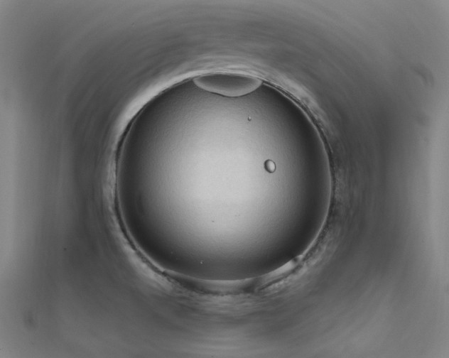 X0000112351520200908131417