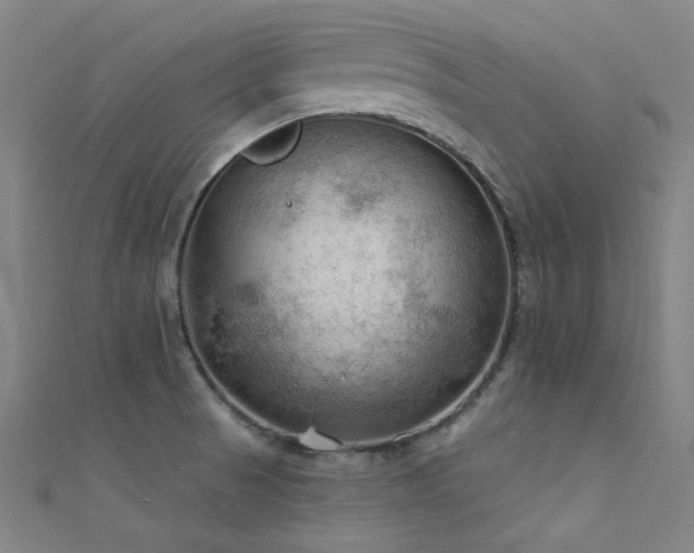 X0000112351521200908131417