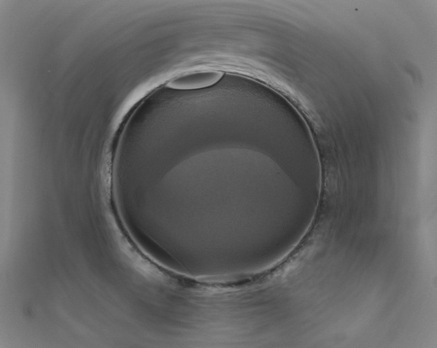 X0000112351522200908131417