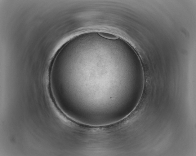 X0000112351523200908131417