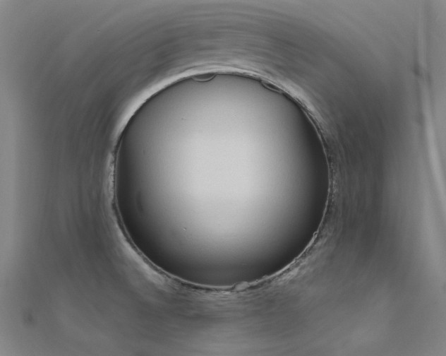X0000112351524200908131417
