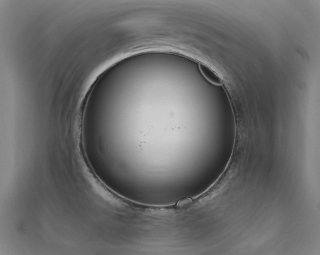 X0000112351526200908131417